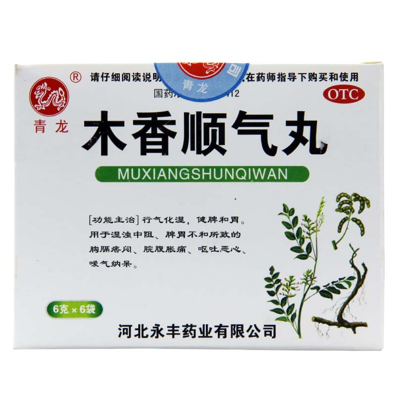 青龙牌木香顺气丸 6g*6袋装 行气化湿